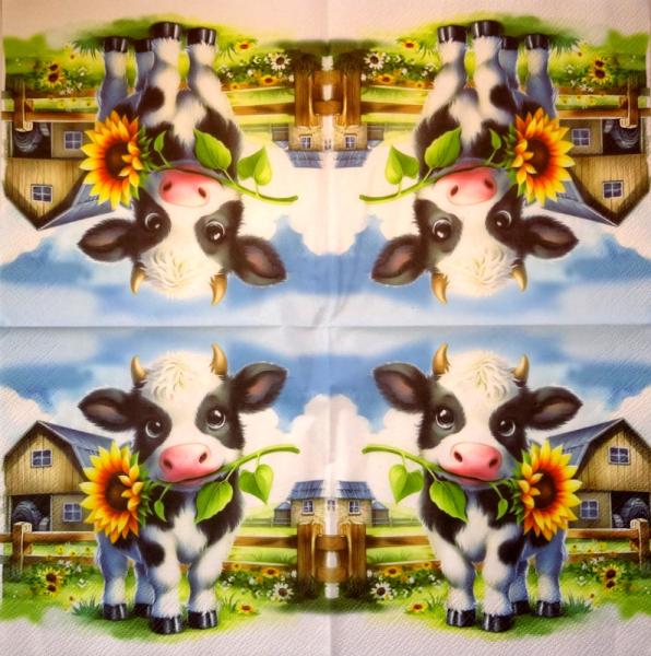 904 Cows - 3-ply - Specials